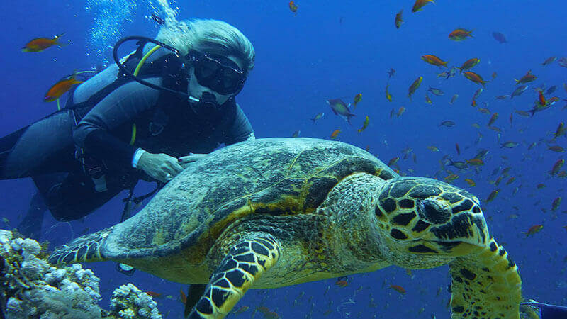 Hurghada avec le Caire et Louxor