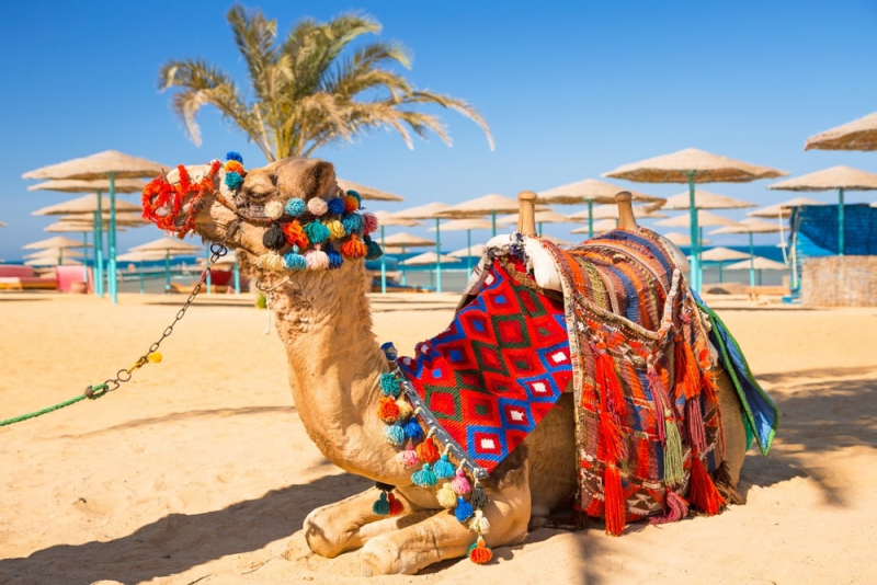 Découverte sous-marine de Sindbad à Hurghada