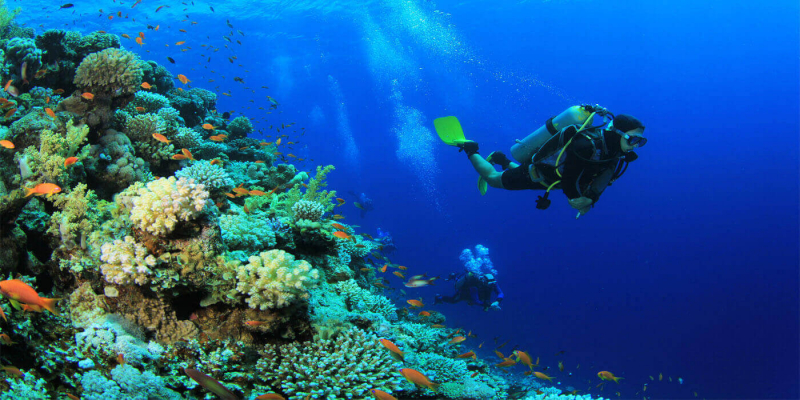 El Gouna PADI Night Dive Specialty Course