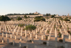 Excursion privée d’une journée à El Alamein au départ d’Alexandrie